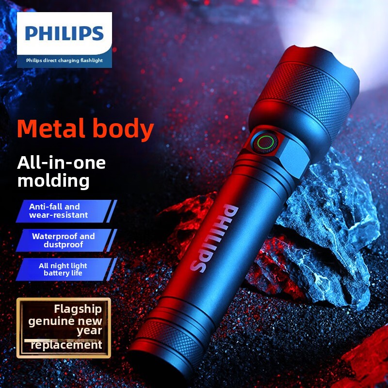 2025 NEW Philips SFL2188 LED A - đánh giá và giá Outdoor Lighting Philips